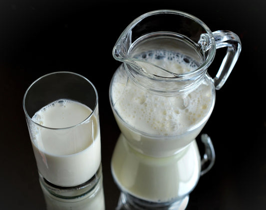 U.S. Milk Prices Drop 18% in 2025